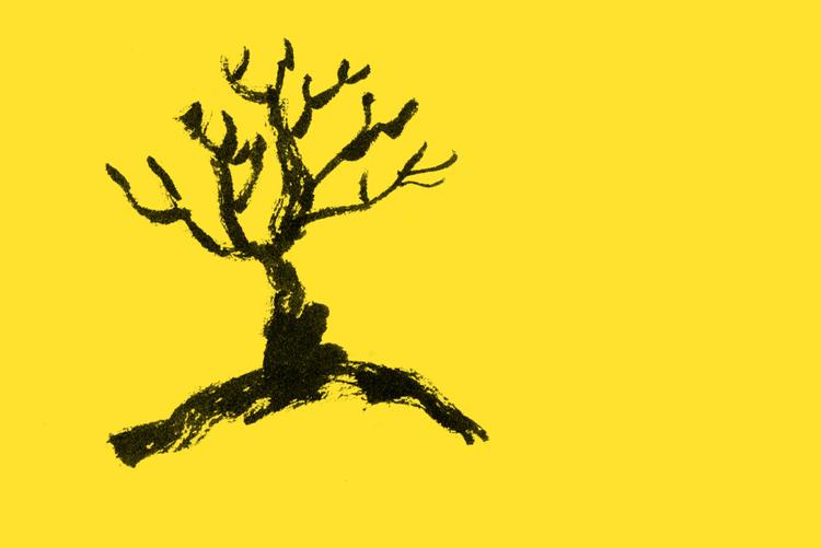 Siden jeg var ung, har jeg gjort det til en daglig rutine at tjekke, hvem der har forladt kloden, skriver Hans Davidsen-Nielsen. Foto: Claus Nørregaard/POLITIKEN