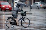 Foto: Jens Dresling