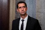 Senator Tom Cotton er en af de republikanere, der efterlyser handling fra Joe Biden, når det gælder leverancer af Atacms-missiler til Ukraine. Foto: Tom Williams/Ritzau Scanpix