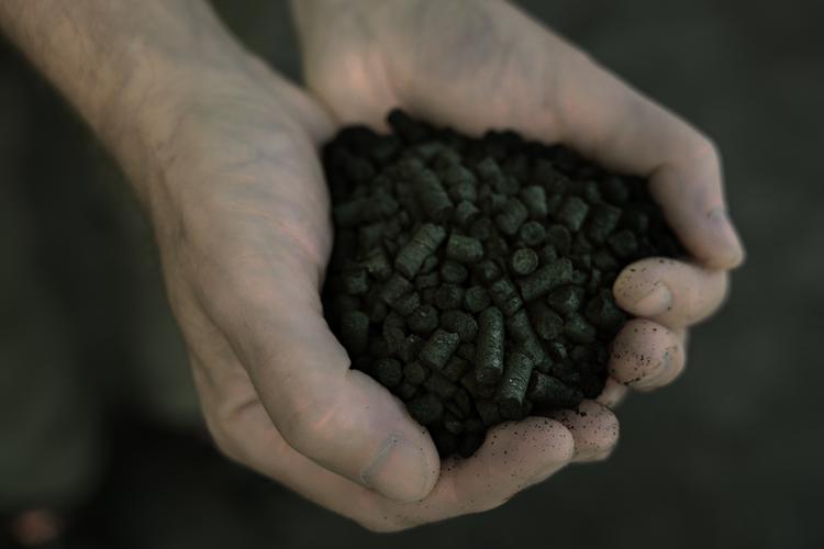 Denne håndfuld biokul er lavet ved pyrolyse af planterester og husdyrgødning og kan binde CO2 i hundredvis af år, så det ikke slipper ud i atmosfæren. Biokul er med andre ord en CO2-støvsuger, som har potentialet til at reducere landbrugets klimaudslip med 2 millioner tons CO2 om året. Foto: Nichlas Pollier