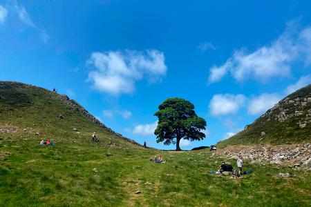 Foto: Oli Scarff/Ritzau Scanpix