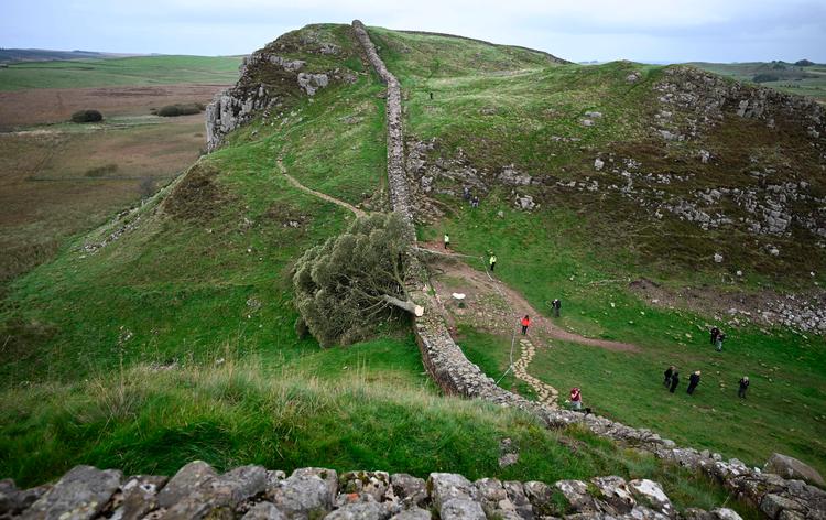 Foto: Oli Scarff/Ritzau Scanpix