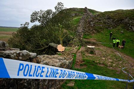 Foto: Oli Scarff/Ritzau Scanpix