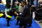 Rishi Sunak hilser på en hund i Exhibitor's Hall, der er en af flere af lokaliteterne i Manchester, hvor det konservative parti afholder konference. Foto: Pool/Ritzau Scanpix