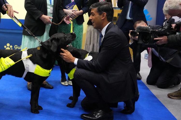 Rishi Sunak hilser på en hund i Exhibitor's Hall, der er en af flere af lokaliteterne i Manchester, hvor det konservative parti afholder konference. Foto: Pool/Ritzau Scanpix