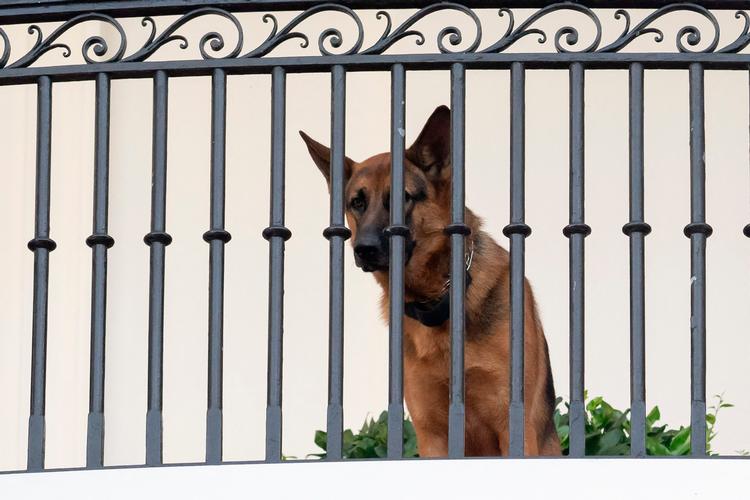 Foto: Saul Loeb/Ritzau Scanpix