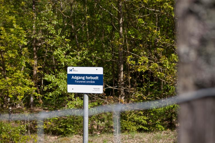 Foto: Anders Tvevad/Ritzau Scanpix