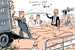 Foto: /POLITIKEN