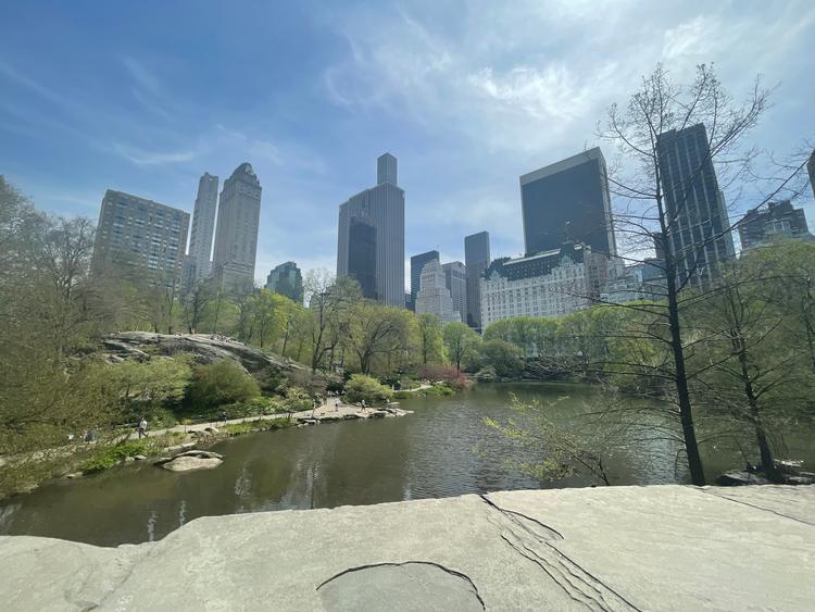 En by, hvor man nemt kan forfalde til kun at se klassikerne, er New York City. Central Park, Times Square, Empire State Building og Brooklyn Bridge kender de fleste. Vi har i stedet spurgt en lokal om hendes bedste tips.  