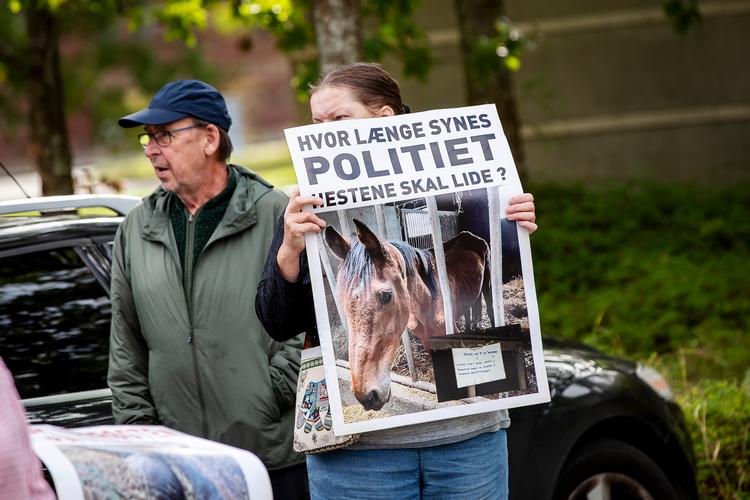 Der blev fyret op under engagementet i dyrs velfærd, da politiet i august fandt 50 nedgravede heste ved et stutteri i Skals. Foto: Johnny Pedersen/Ritzau Scanpix
