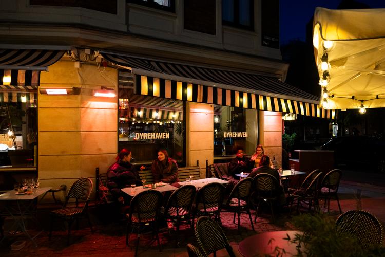 Dyrehaven på Vesterbro står for decideret hyggelig stemning, og servicen er personlig, uhøjtidelig og hurtig. Foto: Nichlas Pollier