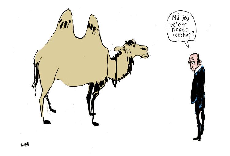 Foto: Claus Nørregaard/POLITIKEN