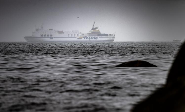 Foto: 50090 Johan Nilsson/tt/Ritzau Scanpix