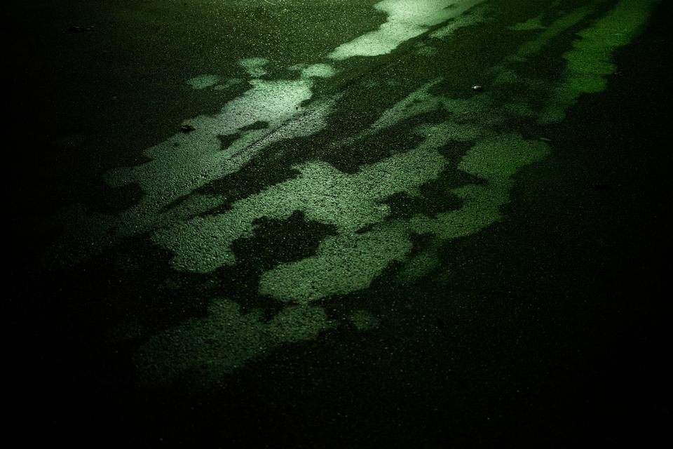 MN_003