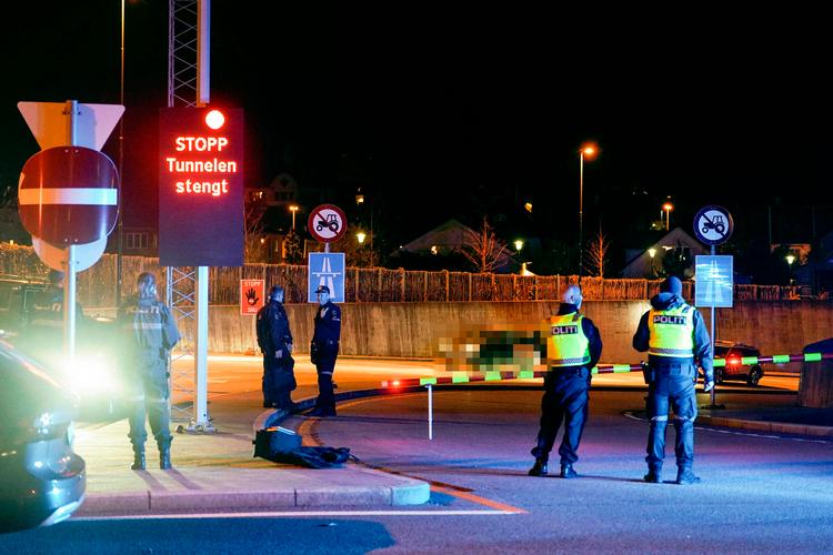 Norsk politi frygter, at den svenske bandekrig vil brede sig ind over den norske grænse. Foto: Heiko Junge/Ritzau Scanpix