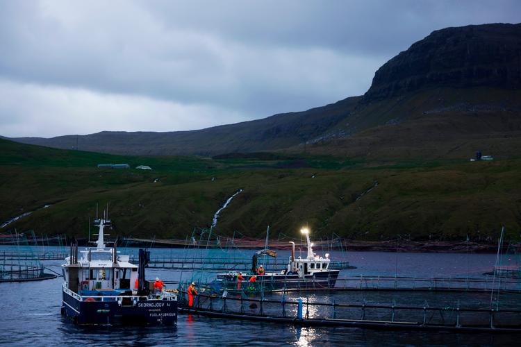 Færøerne indførte i sommer en række restriktioner over for russiske fartøjers adgang til færøske havne, men restriktionerne omfatter ikke skibe, der indgår i fiskeriaftalen. Foto: Jesper Houborg