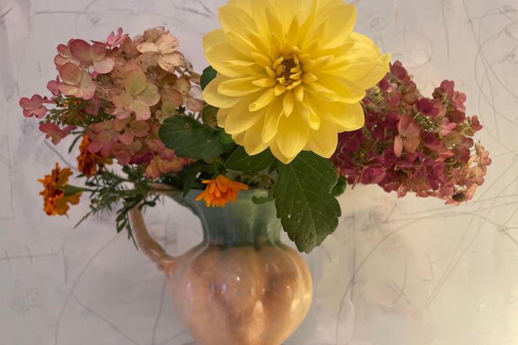 366775329_1508851483295020_4088616276070090073_n