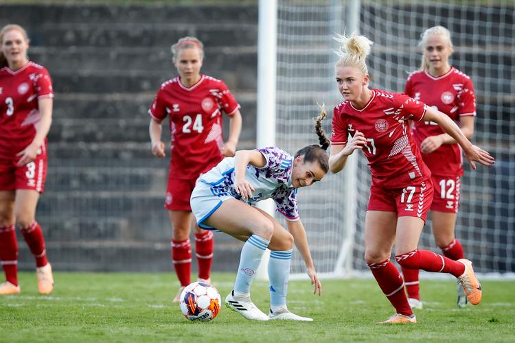 Sikkerheden skærpes omkring de danske landshold. Foto: Jens Dresling