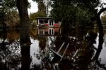 Roneklint på Sydsjælland er ét af de steder, som blev ramt af oversvømmelser under den voldsomme stormflod.  Foto: Martin Lehmann