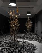 I 'Efter ilden' har Rune Bosse skabt en installation af småtræer, der stikker op i bunker af forkullet træ - og med en duft af bål hængende over rummene. Foto: David Stjernholm