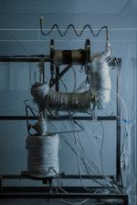 Foto: Katrine Hørup Noer