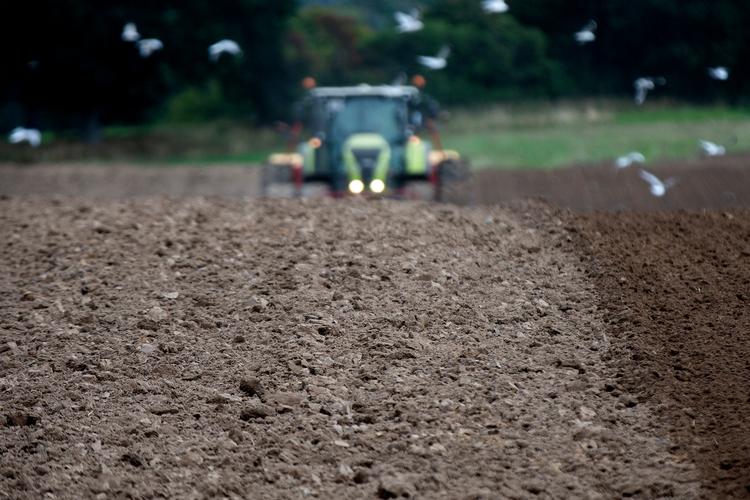 Landmænd får tilsendt fakturaer fra Landbrugstidende. De ønsker dog at abonnere på Landbrugsavisen. Foto: Finn Frandsen