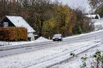 Sæsonens første sne faldt allerede den 16. november i Fredensborg. Tirsdag lover DMI sne flere steder i landet Foto: Ida Marie Odgaard/Ritzau Scanpix