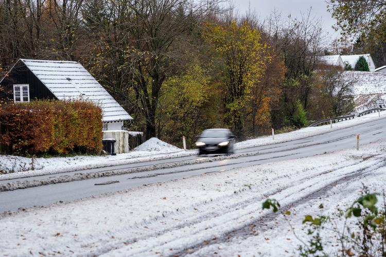 Sæsonens første sne faldt allerede den 16. november i Fredensborg. Tirsdag lover DMI sne flere steder i landet Foto: Ida Marie Odgaard/Ritzau Scanpix