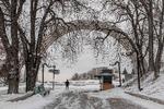 Kulden har sat ind i Ukraine, hvilket gør det langt sværere at føre krig.  Foto: Roman Pilipey/Ritzau Scanpix