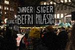 Krigens voldsomhed, graden af uretfærdighed og konfliktens historiske klangbund giver genlyd i befolkningen i et omfang, vi sjældent har set magen til i konflikten mellem Israel og Palæstina, mener professor Thomas Olesen Foto: Finn Frandsen