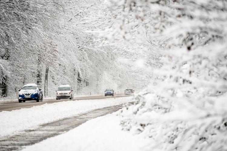 Flere dele af landet har været udfordret af sneen i dag - her er det i udkanten af Nykøbing Falster. Foto: Mads Claus Rasmussen/Ritzau Scanpix