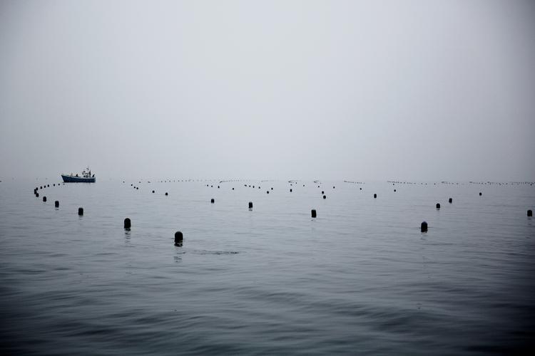 Havbrugsejeren var anklaget for systematisk at have produceret flere fisk end tilladt i bure i havet i og ud for Horsens Fjord. Foto: Joachim Adrian