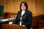 Karina Lorentzen blev af den øvrige opposition skoset for, at SF havde slået pjalterne sammen med regeringen, da der skulle stemmes om FE-sagen.   Foto: Mads Claus Rasmussen/Ritzau Scanpix