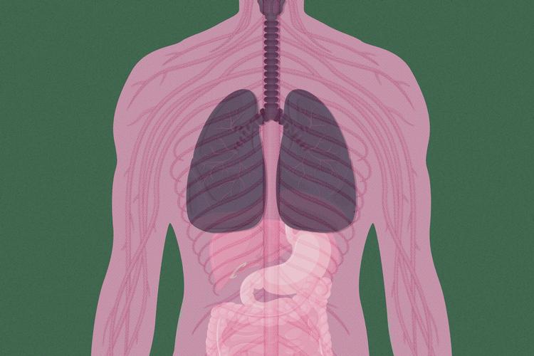 Illustration: Karen Rosenlund 