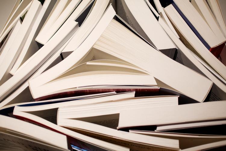 Fagbogen er truet på eksistensen. Det skal der gøres noget ved, lyder det fra Forfatterforeningen. Foto: Andreas Haubjerg