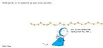 web_maren_2023-12-23