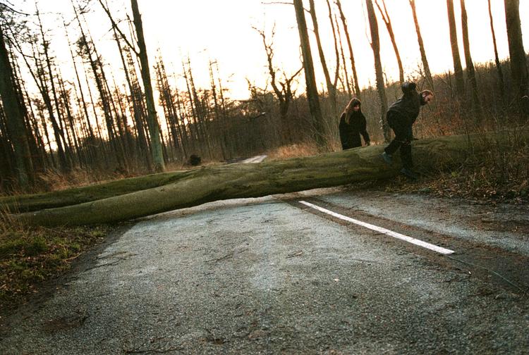Steen Hermansen fortæller, at vinden bliver så kraftig, det kan resultere i væltede træer og knækkede grene. Foto: Jesper Nørgaard Sørensen