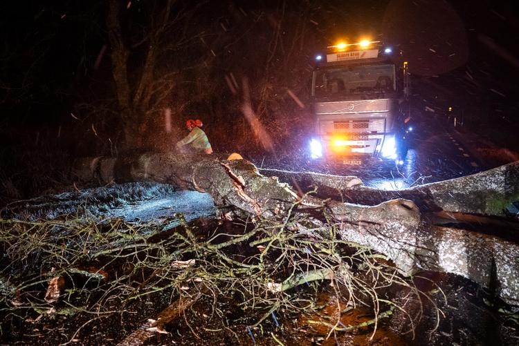 Foto: 50090 Johan Nilsson/tt/Ritzau Scanpix