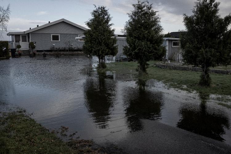 Efter stormen Pia er forsikringsselskaber begyndt at modtage skader.  Foto: Nichlas Pollier