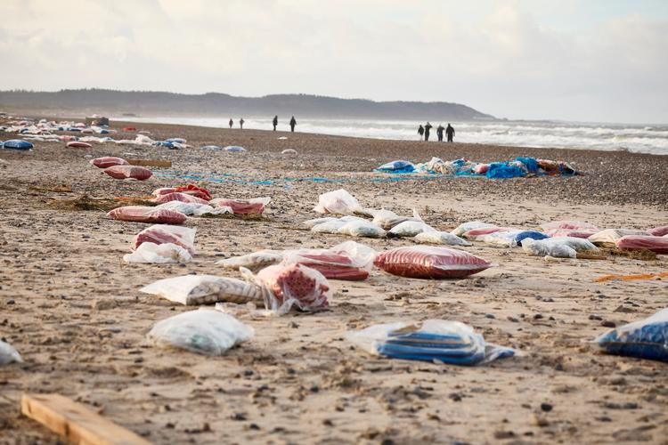 Onsdag begyndte oprydningsarbejdet på de berørte strande for alvor. Der er blevet sat gummigeder og ladvogne ind flere steder langs den nordjyske kyst.  Foto: Claus Bjørn Larsen/Ritzau Scanpix