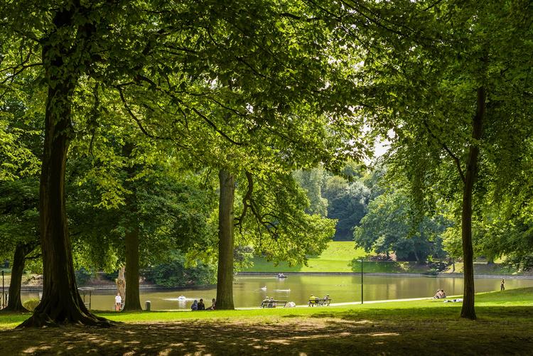 Byens mange parker og grønne områder kommer bag på mange besøgende, siger Niccolò Querci, der har boet 12 år i Bruxelles. Foto: https://www.visit.brussels/en/visitors