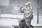 Cyklister og fodgængere fanget i en snebyge på Rådhuspladsen i København. Arkivfoto:  Jens Dresling