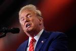»Selvfølgelig havde jeg som præsident for USA og øverstkommanderende ret til immunitet«, siger Trump. Foto: Scott Olson/Ritzau Scanpix