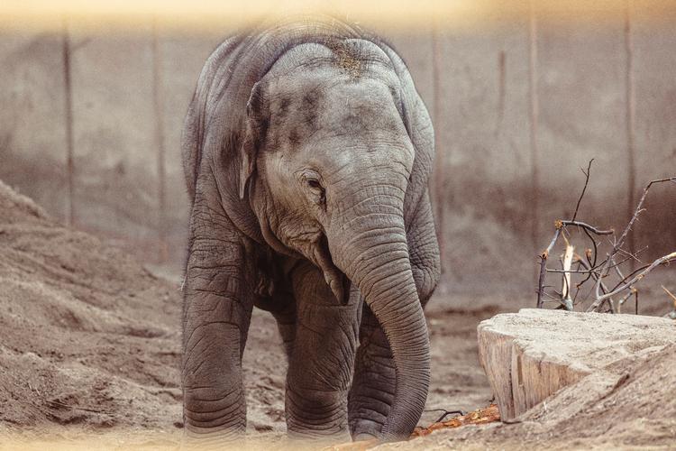 Foto: Anders Holst Pedersen