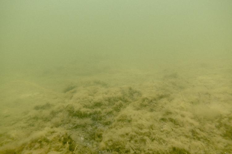 Kandidat AAP-1 OBS_brug_skal_godkendes_af_peter_hove