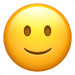 slightly-smiling-face_1f642