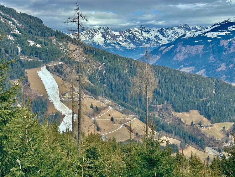 Der er mere brunt end hvidt rundt om pisten på skisportsstedet Zell am See i Østrig p.t. Den kommende uge lover vejrudsigterne koldere vejr.  Foto: Per Munch