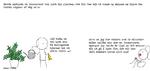 web_maren_2024-02-14