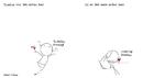web_maren_2024-02-16