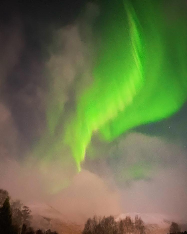 Nordlys er det helt store trækplaster, selv om der ikke er nogen garanti for at se fænomenet.  Foto: Kristoffer Flakstad